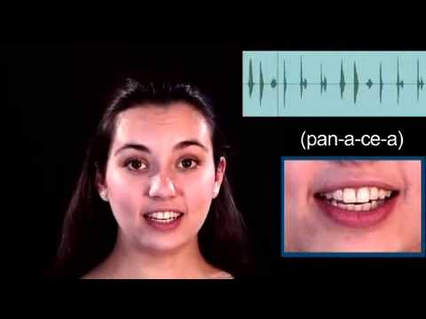 Panacea + Learning English Pronunciation