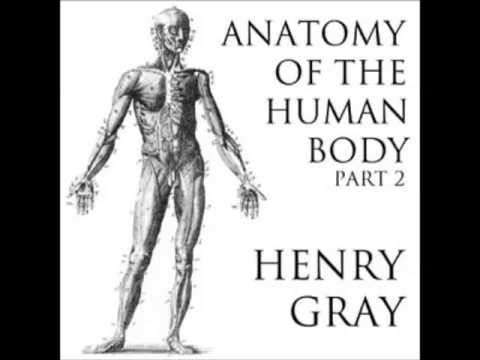 Anatomy of the Human Body (FULL Audiobook) - part (10 of 39)