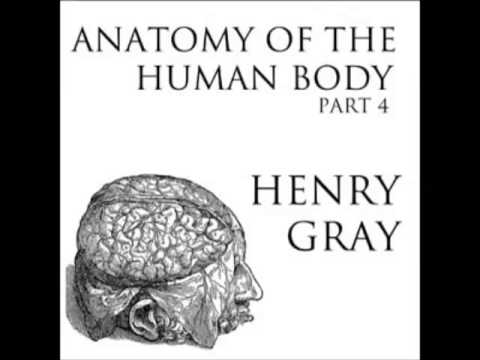 Anatomy of the Human Body (FULL Audiobook) - part (26 of 39)