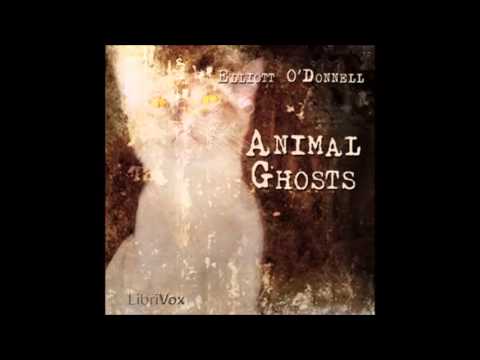 Animal Ghosts (FULL Audiobook)