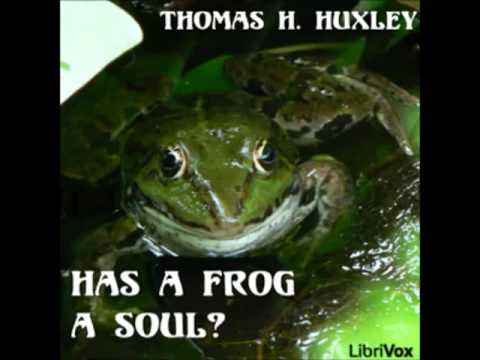 Has a Frog a Soul ?