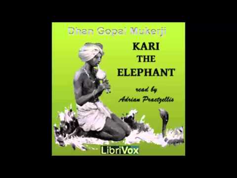 Kari the Elephant