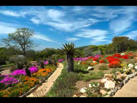 Kirstenbosch: An English Listening Exercise