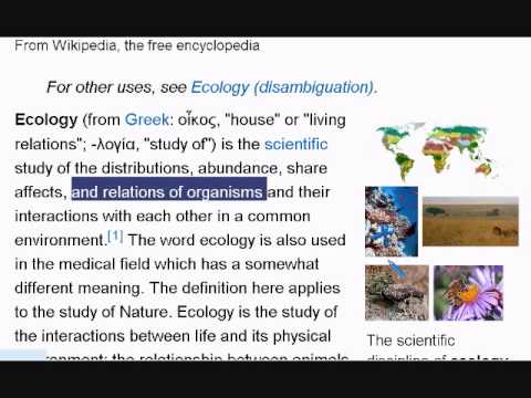 Learn English Reading Lesson 9 Ecology