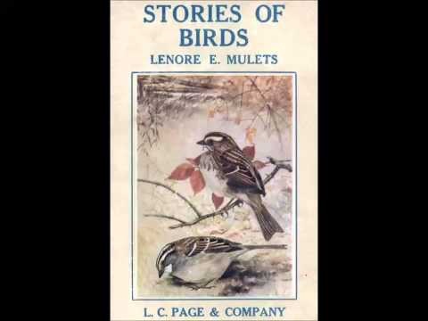 Stories of Birds (FULL Audiobook)