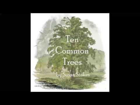 Ten Common Trees (FULL Audiobook)