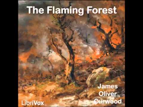 The Flaming Forest (FULL Audiobook) - part 2