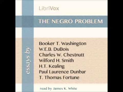 The Negro Problem (FULL Audiobook)