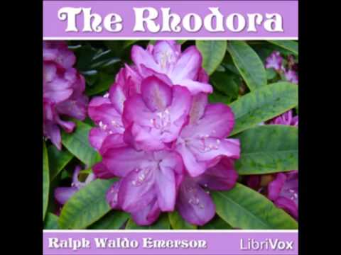 The Rhodora by Ralph Waldo Emerson