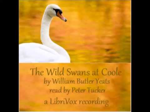 The Wild Swans at Coole (FULL Audiobook)