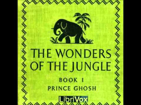 The Wonders of the Jungle (FULL Audiobook) - part (1 of 3)
