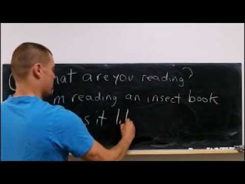 Learn English Speaking Study Lesson 5: What is it like? it is great!