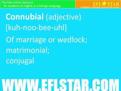 Advanced Vocabulary Lesson C Part 4