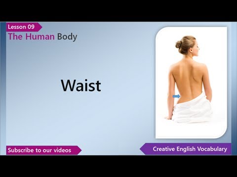 Lesson 9 - English Vocabulary - The Human Body