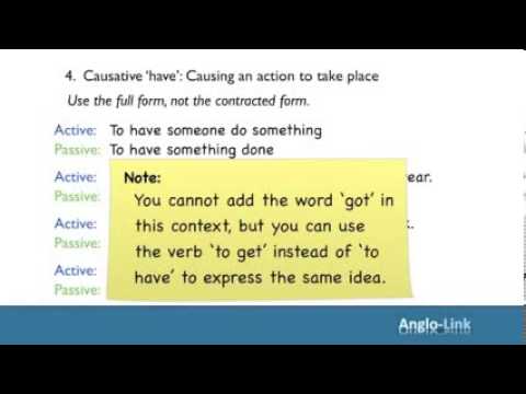'To Have' + English Vocabulary Lesson