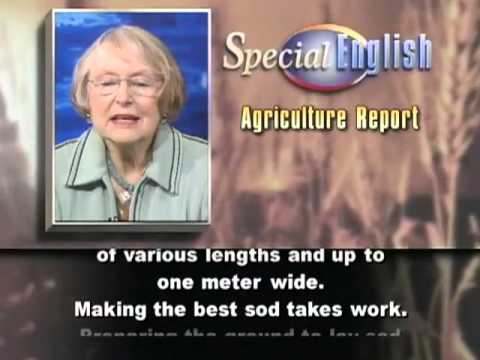 VOA Learning English - Agriculture Report # 3961